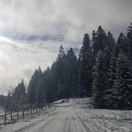 Apartmán Draganovi Konaci