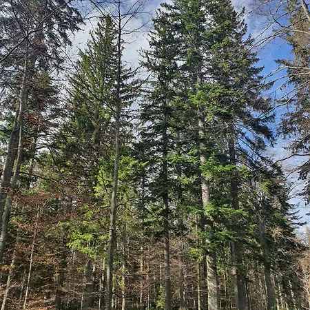 Apartmán Draganovi Konaci